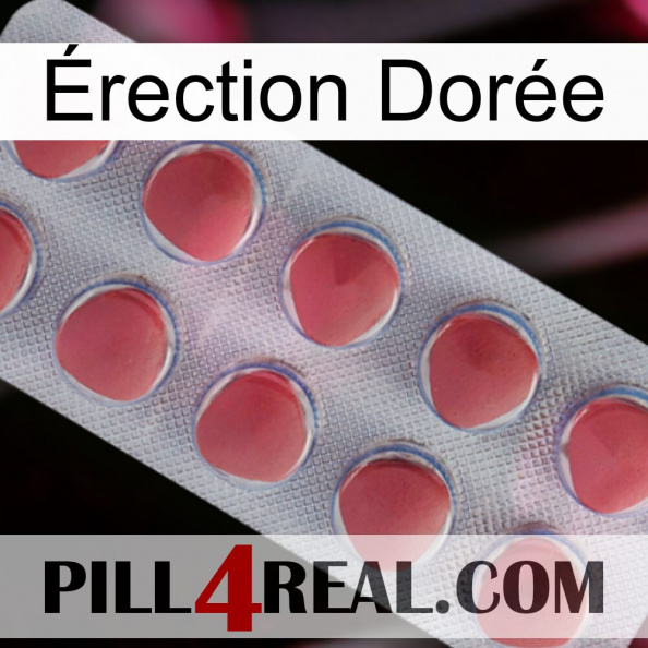 Érection Dorée 18